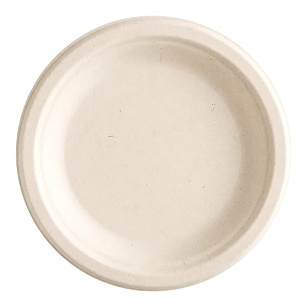 PLATE 6